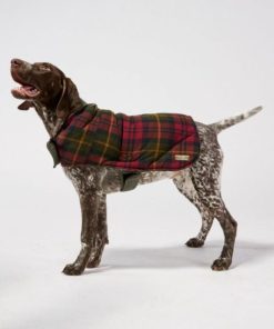 Riverstoneco.shop087ba195f8 3