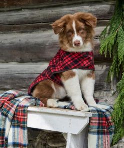 Riverstoneco.shop30cf1df1be 4