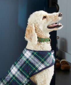 Riverstoneco.shop4004a707f1 2