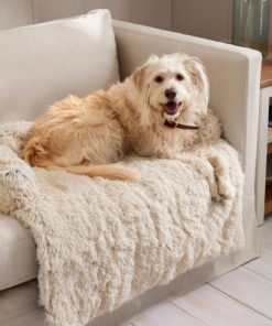 Riverstoneco.shop47d271d125 2