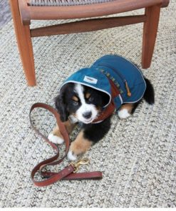 Riverstoneco.shop5d75e61018 1