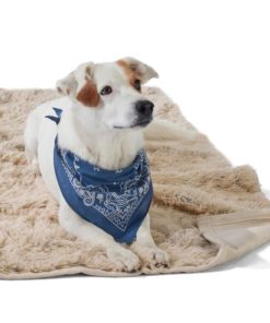 Riverstoneco.shop93b9f71aa2 2